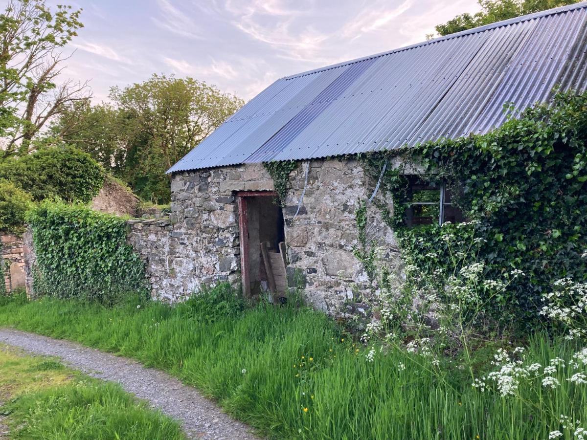 Hillhead Country Retreat Villa Castlewellan Luaran gambar